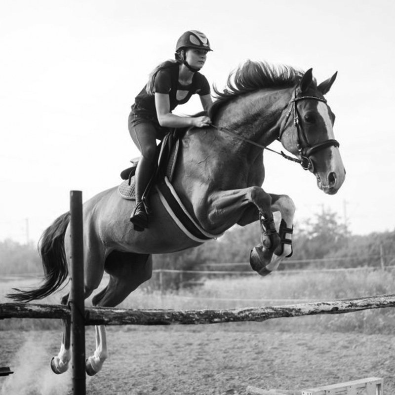 Kitson_Trotman_Equine