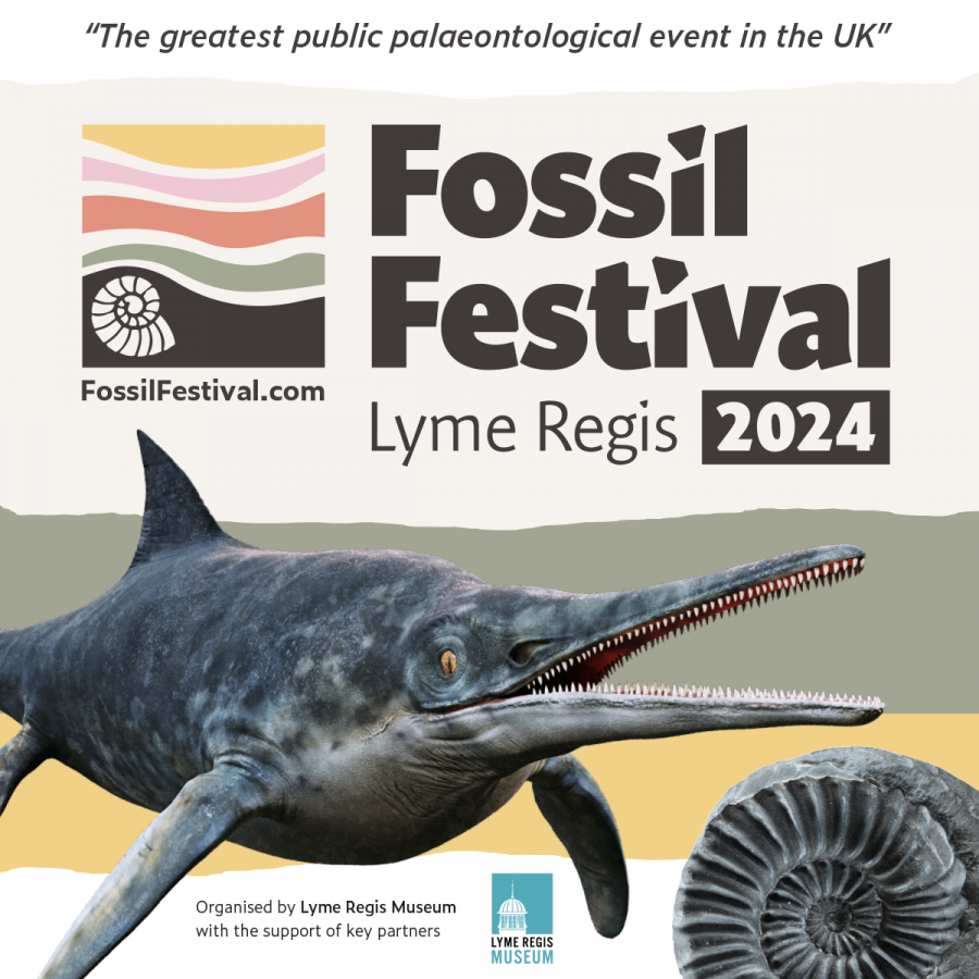 Fossil Festival Branding