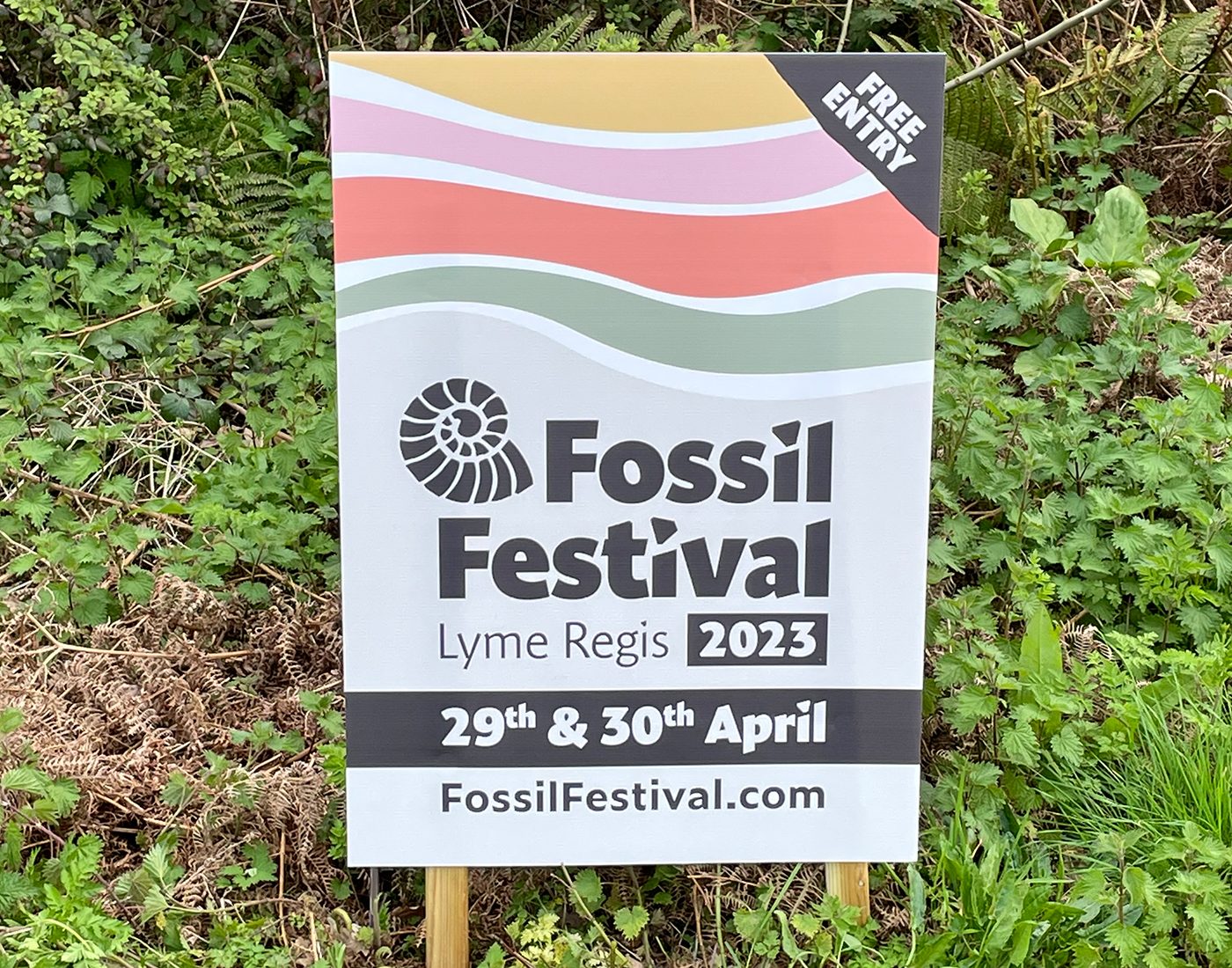 Fossil Festival-Testimonial